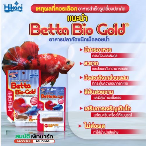 Hikari Tropical Betta Bio-Gold ฮิคาริ เบ็ตต้า ไบโอโกลด์ อาหารปลากัด โปรตีนสูง เร่งสีพิเศษ เม็ดเล็ก ลอยน้ำ