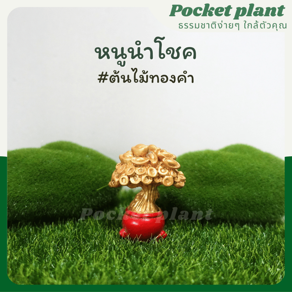 มุมมอง 9