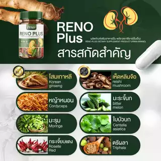 [ส่งฟรี / 1 แถม 1] RENO PLUS ดูแลสุขภาพไต ฟื้นฟูร่างกาย อ่อนเพลียง่ายต้องลอง