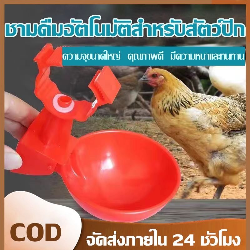 โถน้ำอัตโนมัติไก่ เกรดอาหาร PP ทนทาน ติดตั้งง่าย ถ้วยน้ำอัตโนมัติสำหรับเลี้ยงไก่ เป็ด ห่าน ป้องกันรั่วซึม