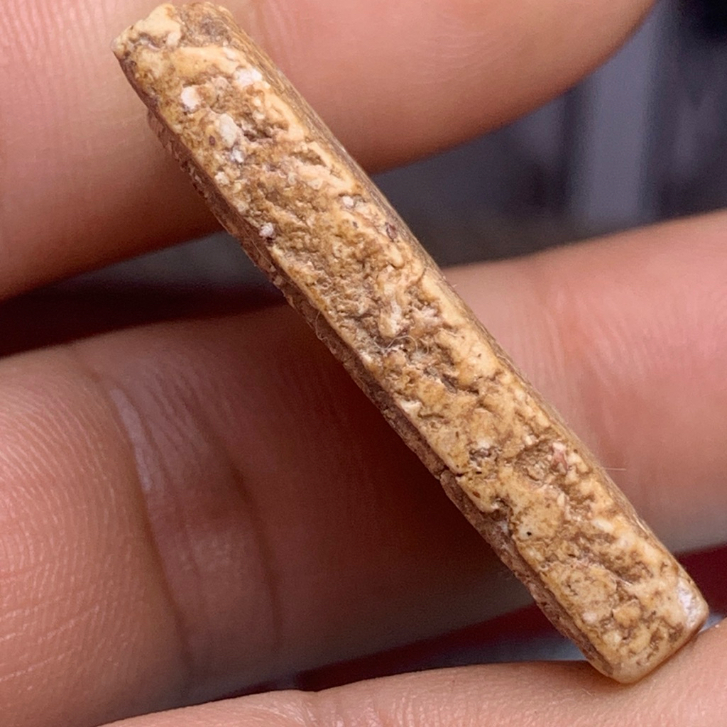 สมเด็จวัดระฆัง พิมพ์ปรกโพธิ์ สมเด็จโต ส่งตามรูป - รูปที่ 3