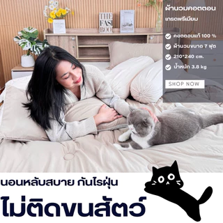 ผ้านวม รุ่นCotton พรีเมียม จากQUILT&CO BEDDINGDREAM ขนาด7ฟุต (210*240 cm) ผ้านวมคุณภาพสูง นุ่มสบาย