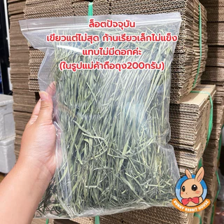 หญ้าทิมโมธีพรีเมี่ยมอบลมร้อน timothy เกรดยอดอ่อน มีไฟเบอร์วิตามิน สำหรับสัตว์ฟันแทะ กระต่าย แกสบี้ แพรี่ด็อก