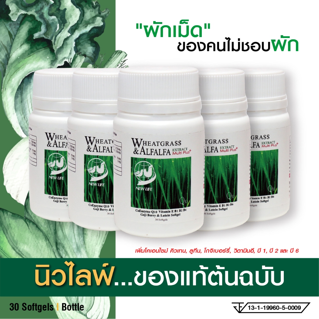 ผักเม็ดนิวไลฟ์ ของแท้ต้นฉบับ เสริมภูมิ บำรุงสมองดูแลดวงตา by Newlife แบบ 5 กระปุก