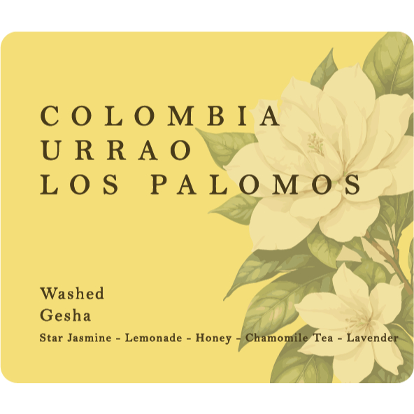 JYNN coffee roasters เมล็ดกาแฟ: Colombia Urrao Los Palomos (Gesha) - 100g