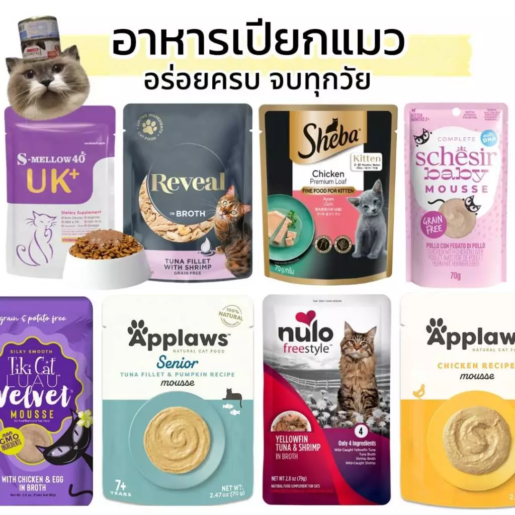 😻CAT HOUSE⭐ ❗️รวมแบบซอง ลองแล้วต้องติดใจ❗️ อาหารแมวเปียก หลายรส หลายขนาด