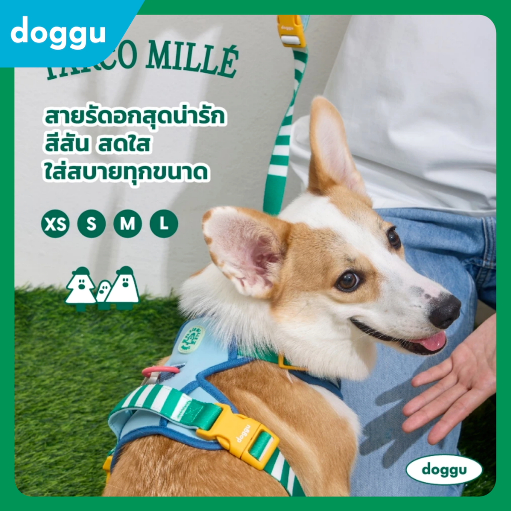 [พร้อมส่ง] DOGGU เซ็ตสายรัดอกพร้อมสายจูง Parco Mille Harness Set  น้องหมา แมวใส่ได้ ใส่ง่าย สายจูง 180ซม