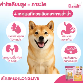[ยกโหล] ChangeTer อาหารเปียกแมว มิตรต่อไต ไร้สาร ไม่เค็ม ทูน่า ไก่ ทานง่าย ควินัว ปลากระพง ทะเบียน 09 ซองละ 55 กรัม
