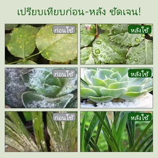 🐞แมลง🐞ยาขับไล่แมลงสำหรับพืช 500g ยาฆ่าแมลง、ยาขับไล่แมลง、ยาฆ่าหญ้า、ยาฆ่าแมลงกินใบ、ยาฆ่าเพลี้ย、ยาฆ่าเพลี้ย、หนอน、มด การเกษต