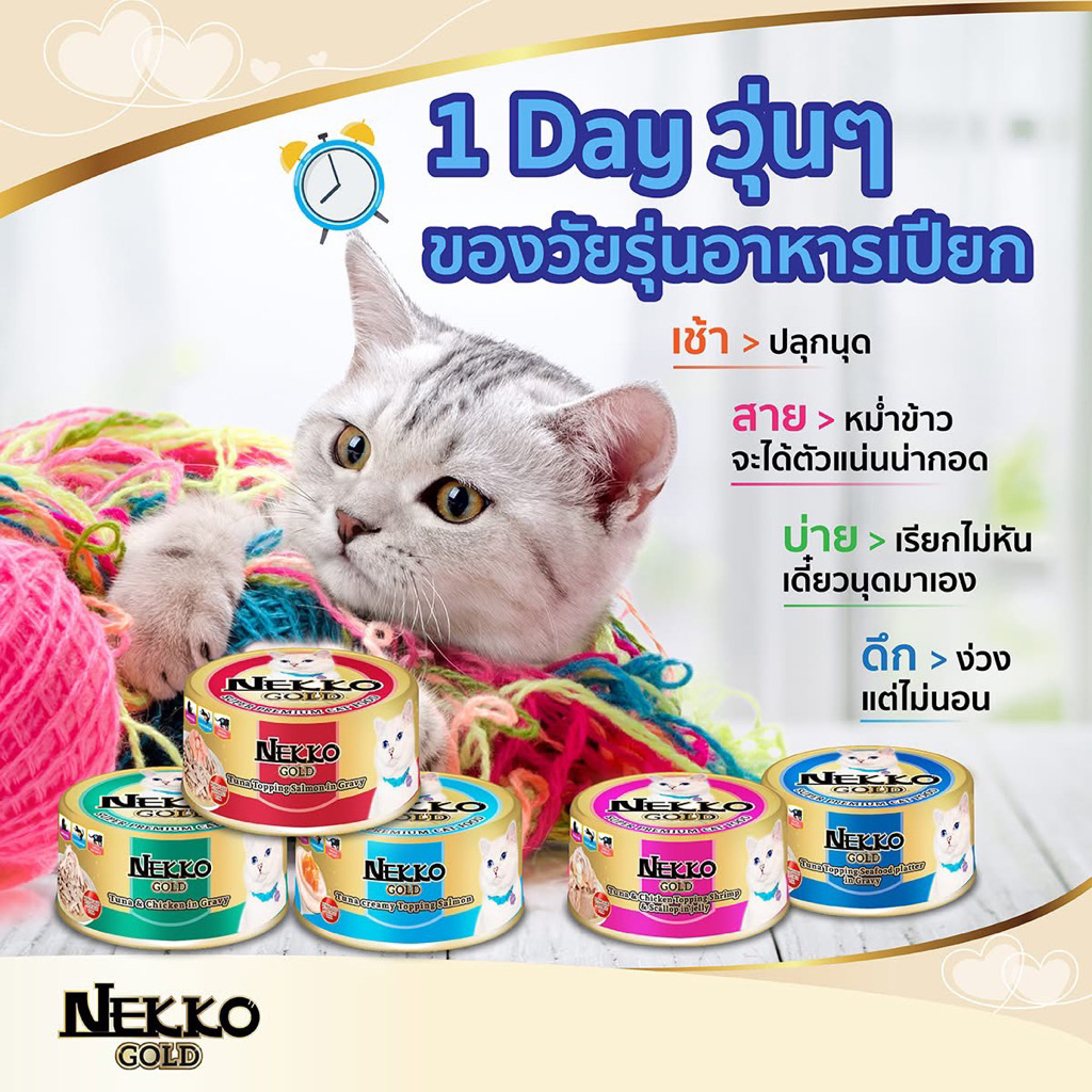 Nekko Gold เน็กโกะ อาหารแมว เปียก กระป๋อง เกรวี่ เจลลี่ ครีมมี่ คุณภาพ พรีเมี่ยม เนื้อปลาแท้ ซอง ยกลัง โหล