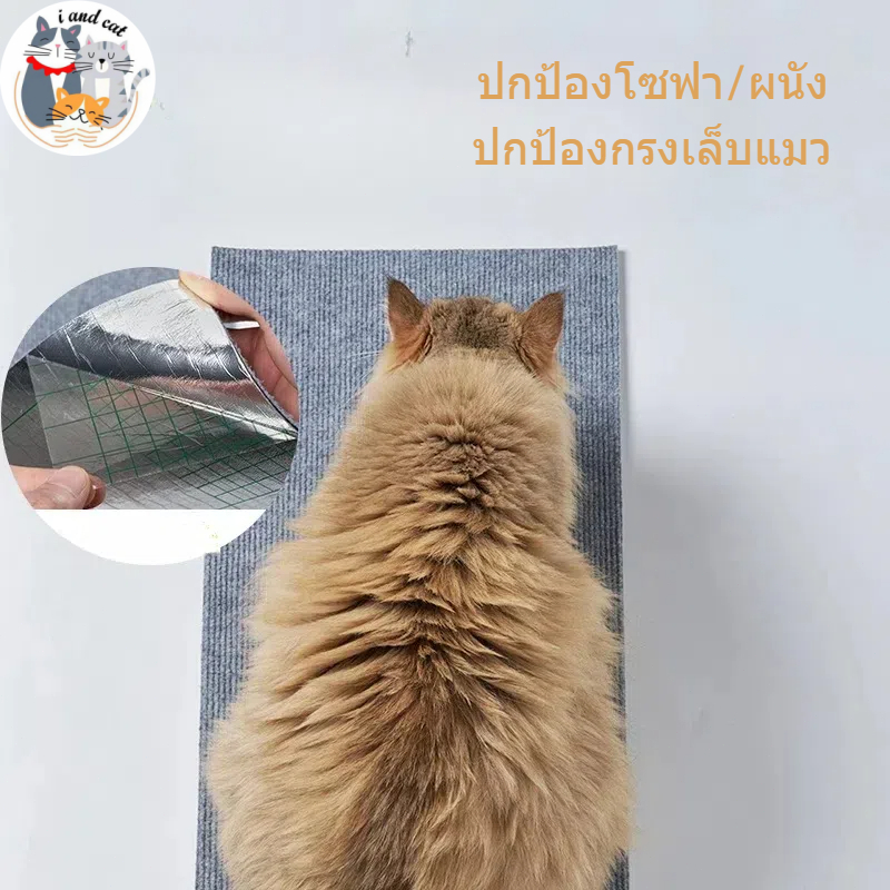 พร้อมส่ง แผ่นกันแมวข่วน แบบติดผนัง ติดโซฟา มีกาวในตัว กันรอยขีดข่วน ถนอมโซฟา ที่ลับเล็บแมว ราคา ถูกที่สุด ดีลบีเคเค แกลเลอรีภาพที่ 6