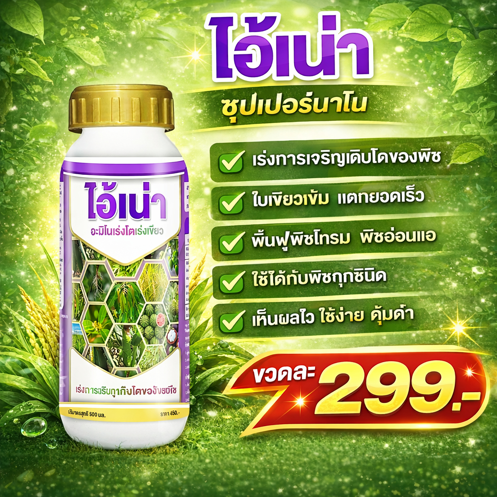 ไอ้เน่าซุปเปอร์นาโน 500 ml | บำรุงกุหลาบ ใบเขียว ดอกดก แตกยอดไว 500ML ราคา ถูกที่สุด ดีลบีเคเค แกลเลอรีภาพที่ 2