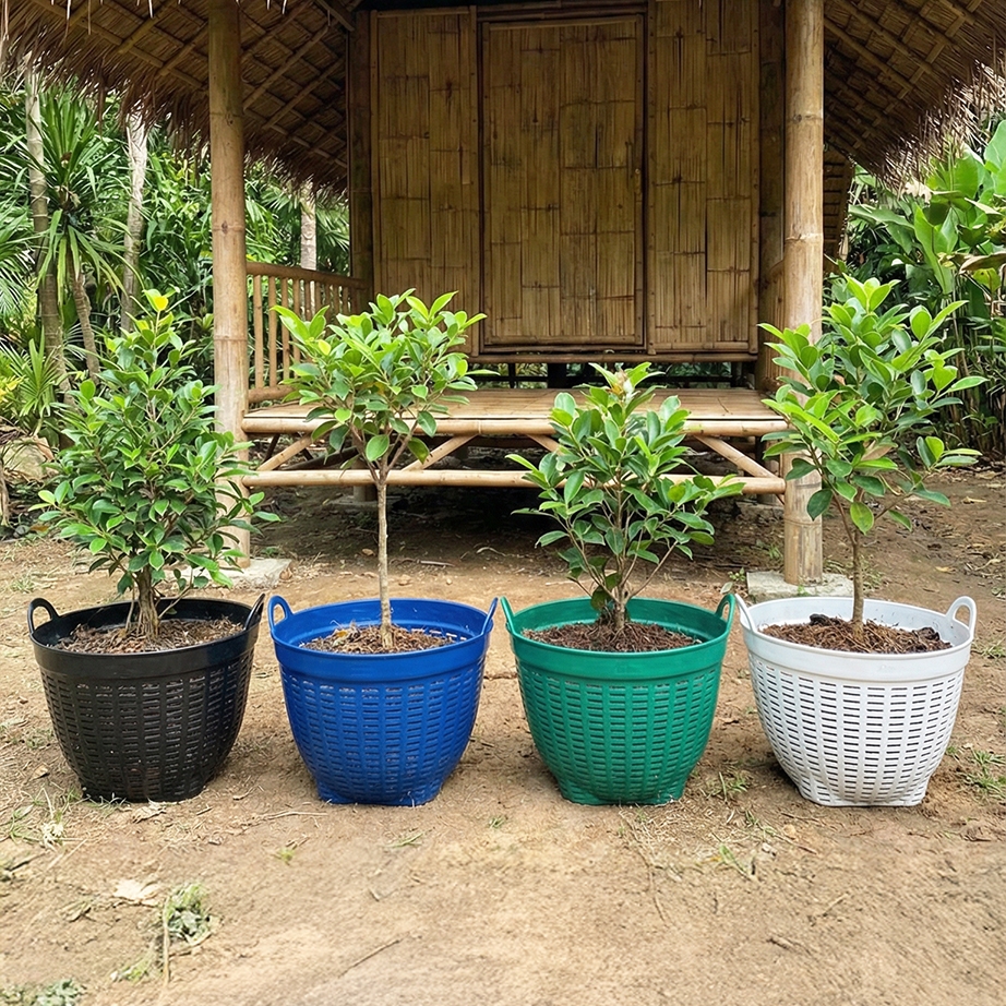 รูปภาพ 2