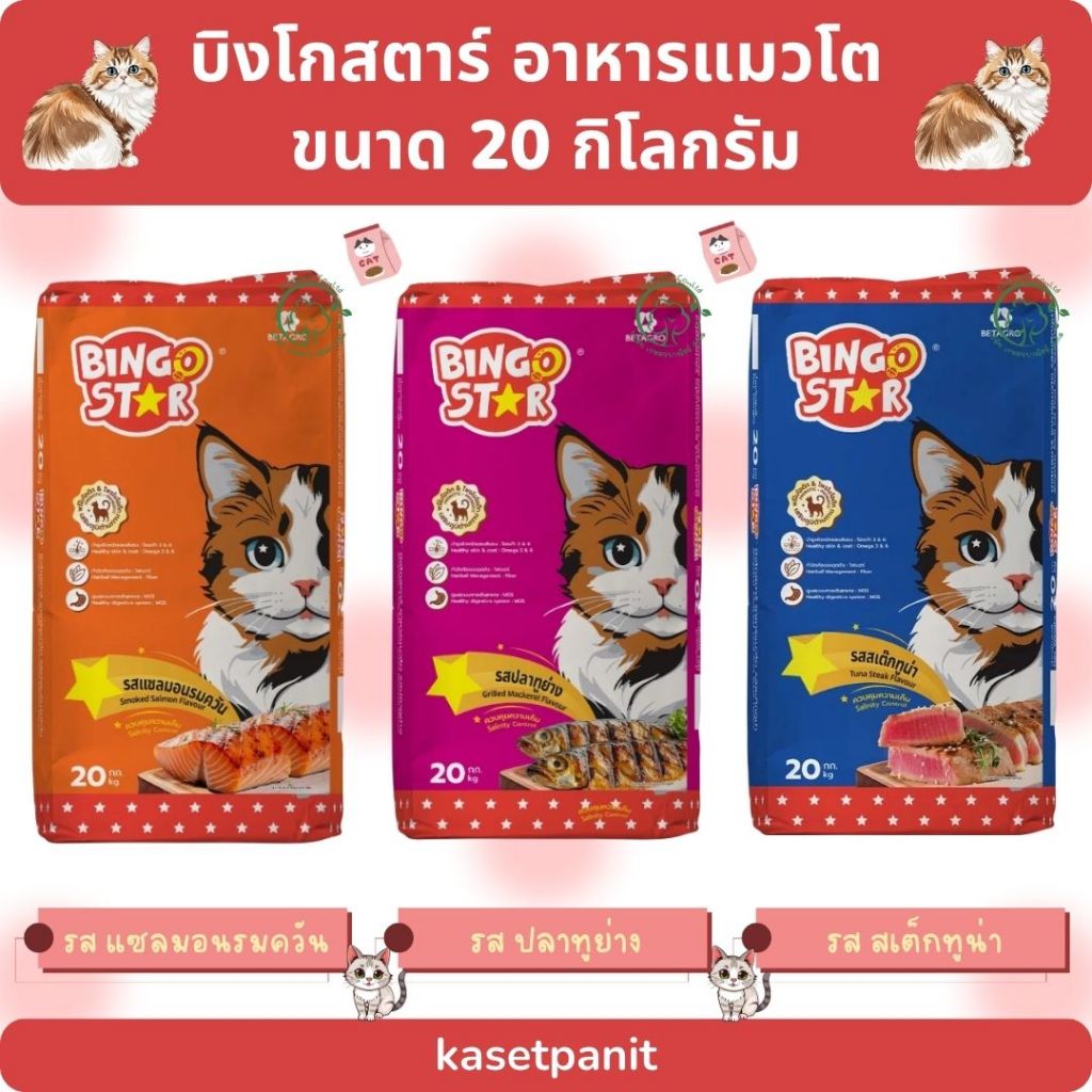 Bingo Star บิงโกสตาร์ อาหารแมวโต ขนาด 20 กิโลกรัม