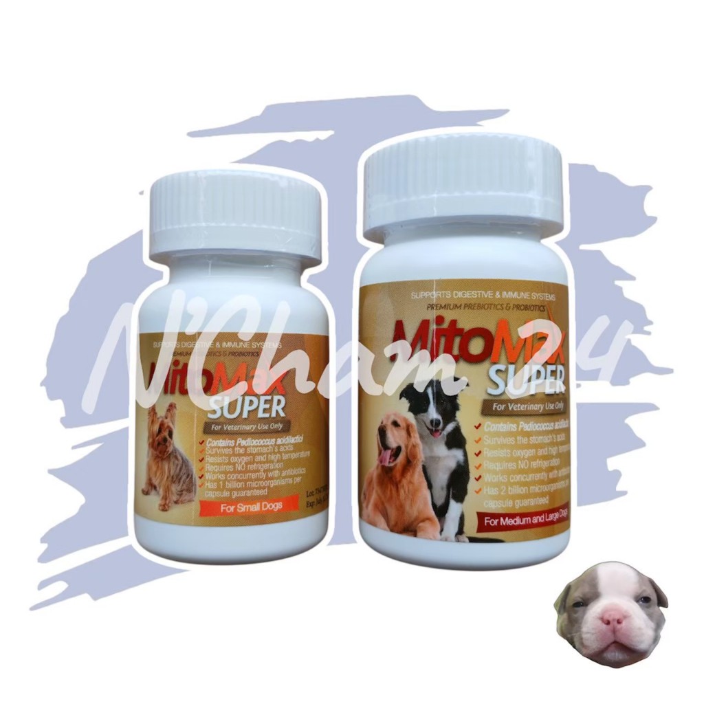 Mitomax (Exp.03/2027) บรรจุ 30 เม็ด ไมโตแมก ซินไบโอติก สำหรับสุนัข