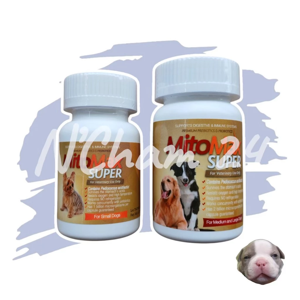 Mitomax (Exp.03/2027) บรรจุ 30 เม็ด ไมโตแมก ซินไบโอติก สำหรับสุนัข