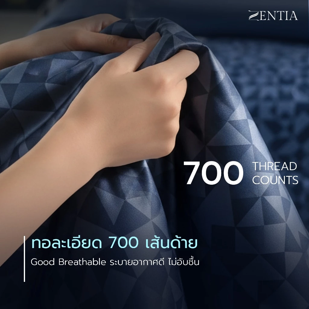 ZENTIA ชุดผ้าปูพร้อมผ้านวมรุ่น COOL LUXE ผ้าแพรพิมพ์ลาย EE thumbnail 8