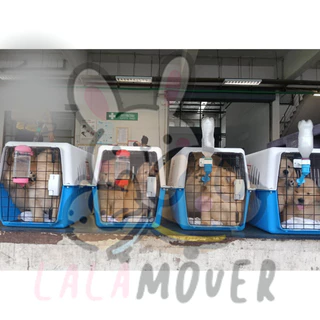 Lalamover กล่องเดินทางสัตว์เลี้ยง กรงเดินทาง (ไซส์M&L) แถม ชามอาหาร ชามเกี่ยวกรง แผ่นปูพื้น