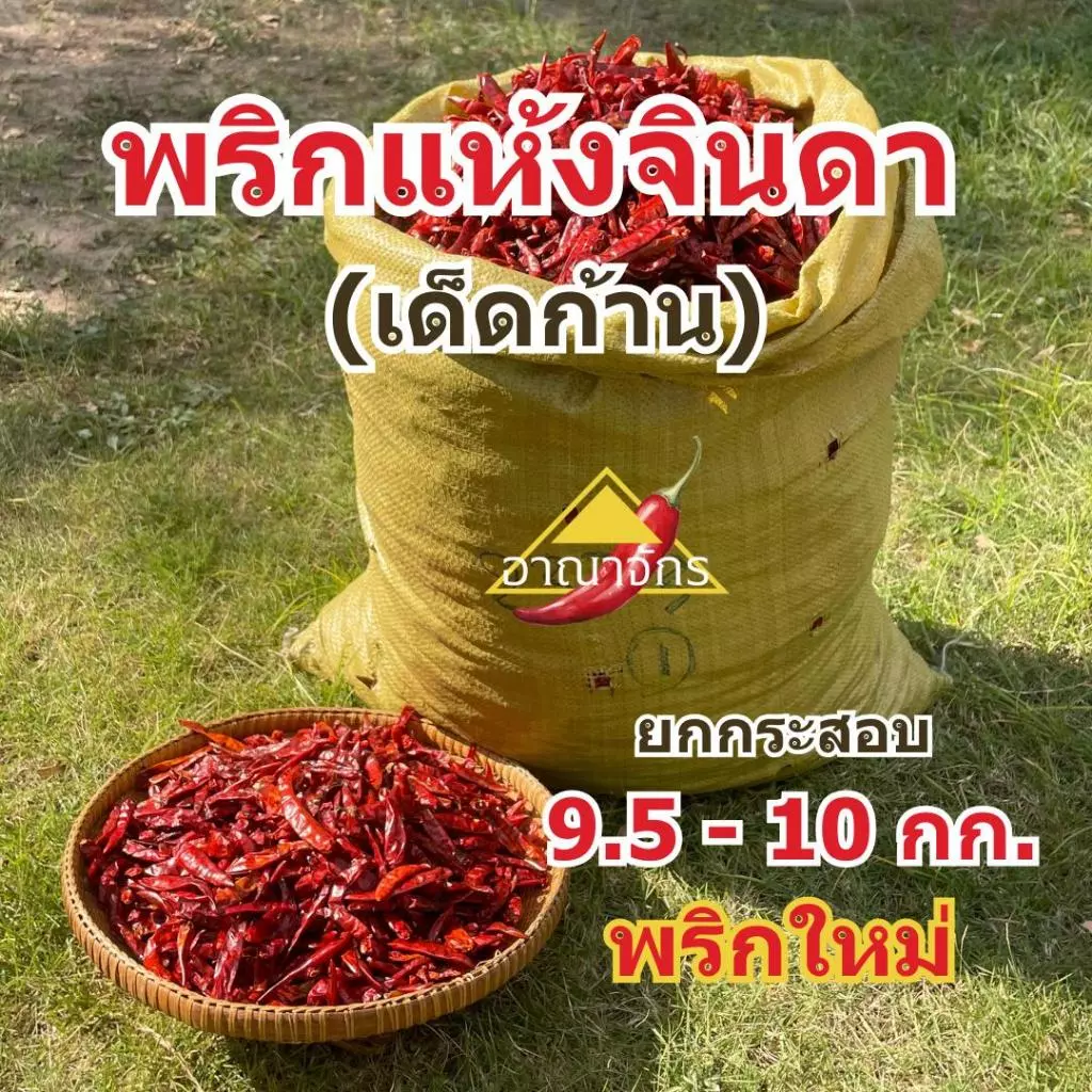 พริกแห้ง จินดา (เด็ด) 9.5-10 กก. เม็ดอวบ ทำน้ำพริก ทำพริกแกง ทำพริกป่น และ อาหารอื่นๆ