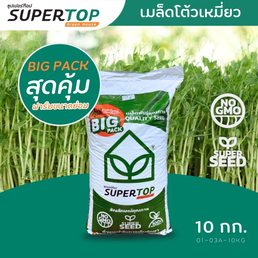 เมล็ดโต้วเหมี่ยว พันธุ์เมเปิ้ล (Pea Maple Microgreen) กระสอบ 10 kg