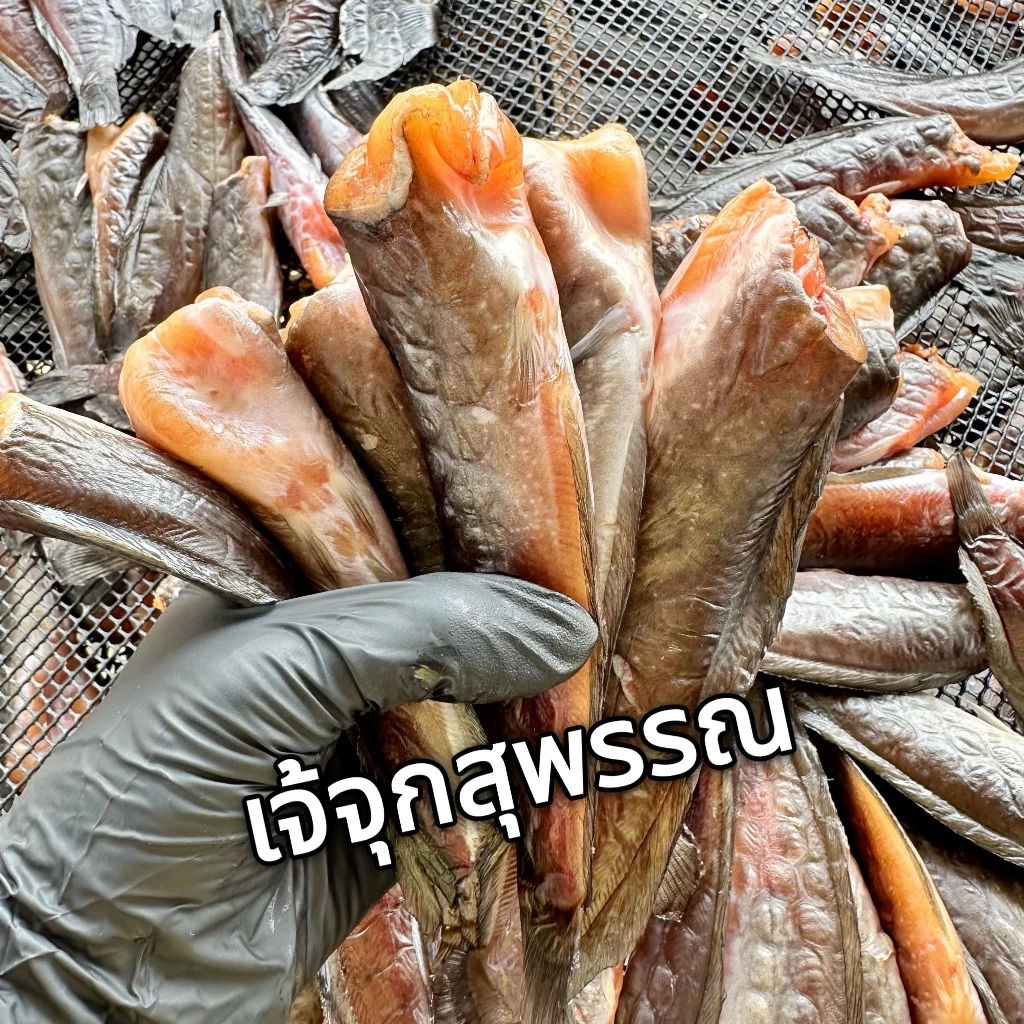 ปลาดุกกลม ดุกนา ดุกเล็ก แพค 500 g ไซส์เล็ก ตากแดดเดียว