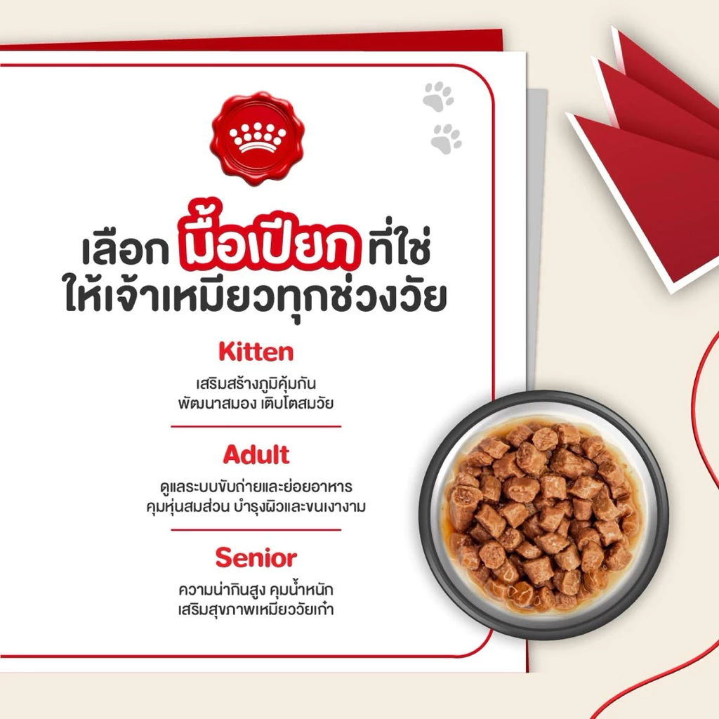 [เฉพาะส่งด่วน] Royal Canin BABYCAT CAN กระป๋อง 1 โหล สินค้าใหม่(12กระป๋อง) thumbnail 8