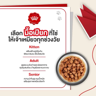 [ลดแล้ว][1โหล]Royal Canin Instinctive อาหารเปียก รอยัลคานิน เพาซ์ สำหรับแมวทั่วไป 85g*12ซอง