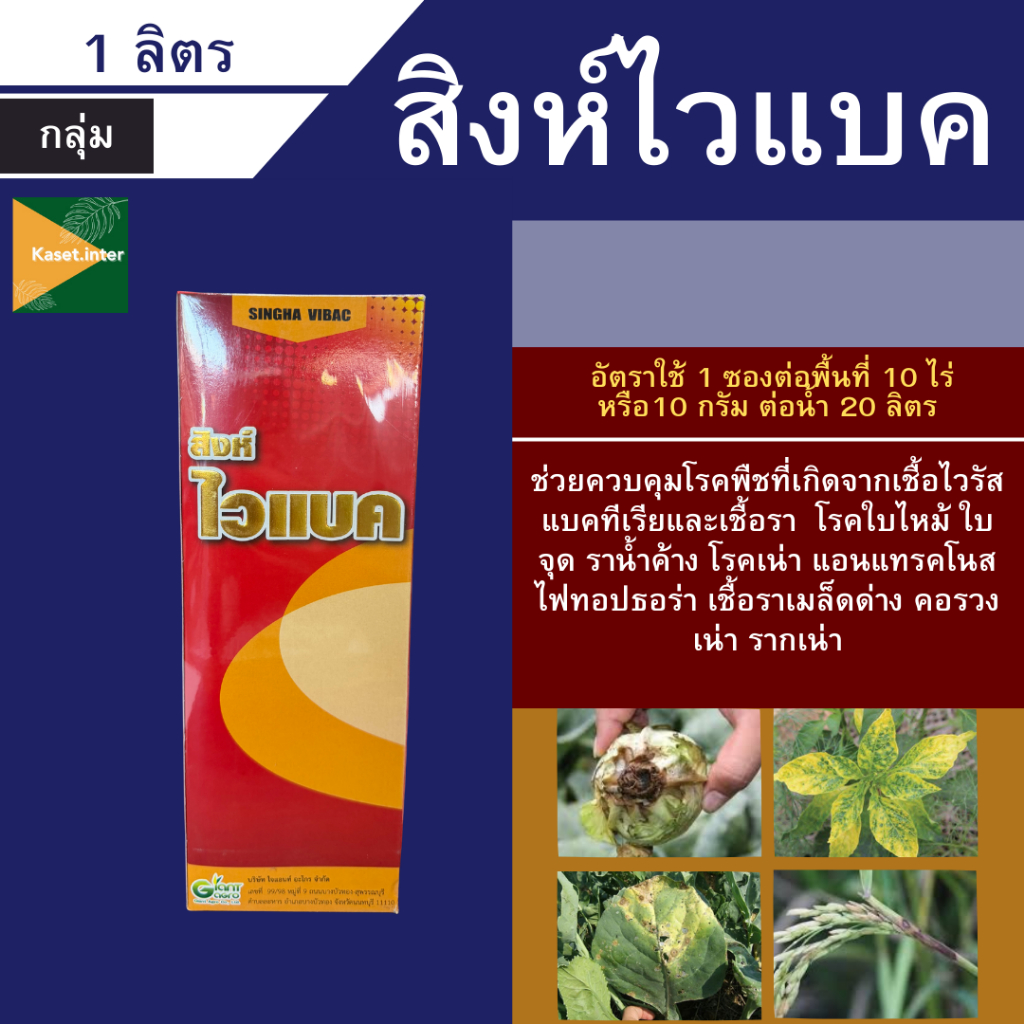 สิงห์ไวแบค ขนาด 1ลิตร สารป้องกันโรคเชื้อรา ใบเน่า ผลเน่า ป้องกันอาการขาดธาตุอาหารของพืช
