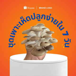 เห็ดนางฟ้าภูฐาน 22 ก้อน พร้อมคู่มือการปลูก