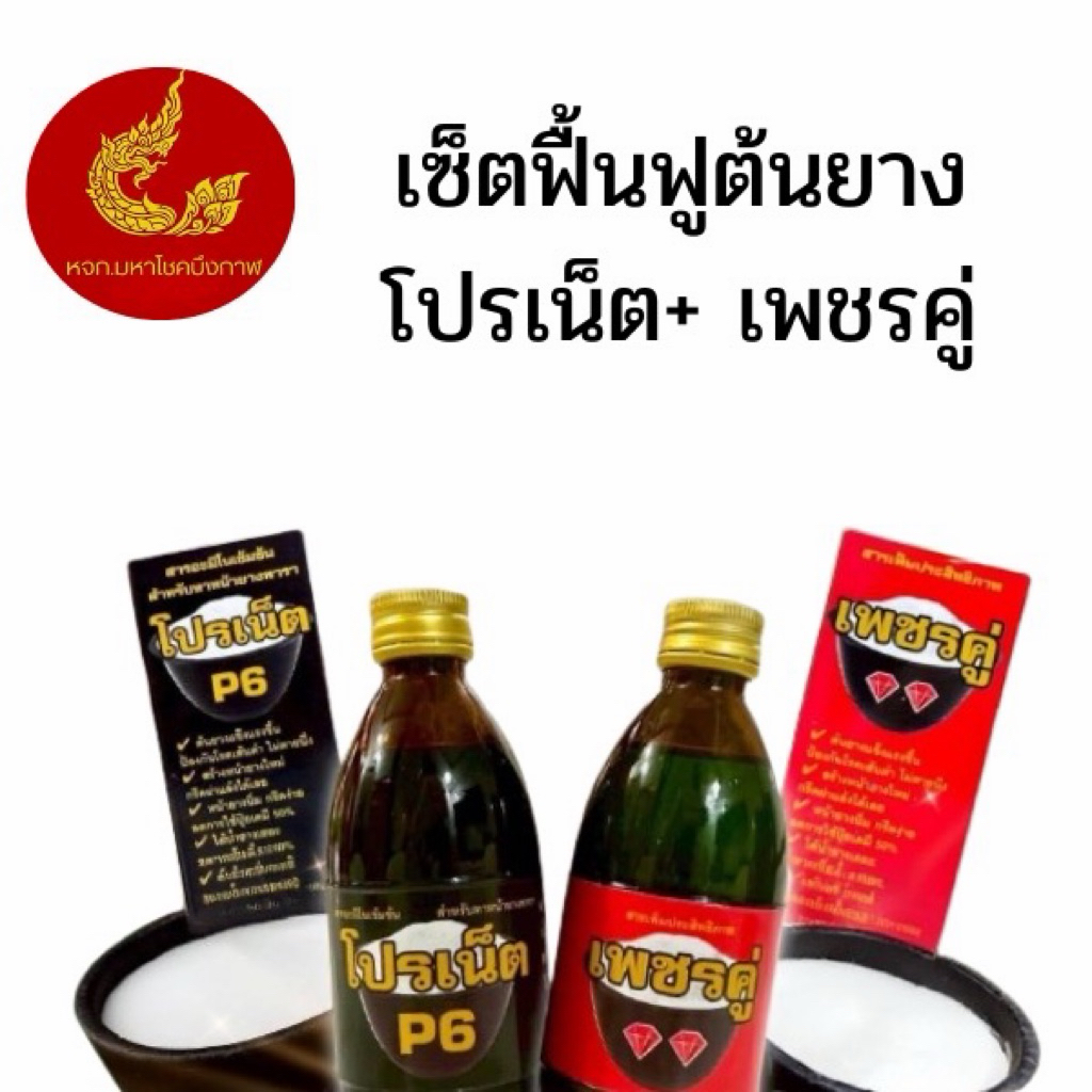เซ็ตฟื้นฟูต้นยาง โปรเน็ต+เพชรคู่