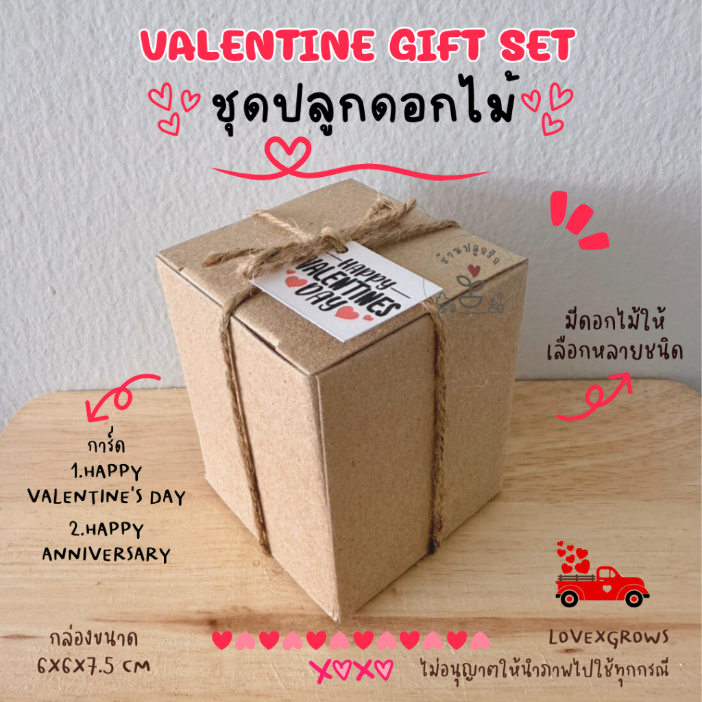 LXG : ชุดปลูกดอกไม้ มินิปลูกรัก เซ็ท Happy Valentine's Day ของขวัญวาเลนไทน์