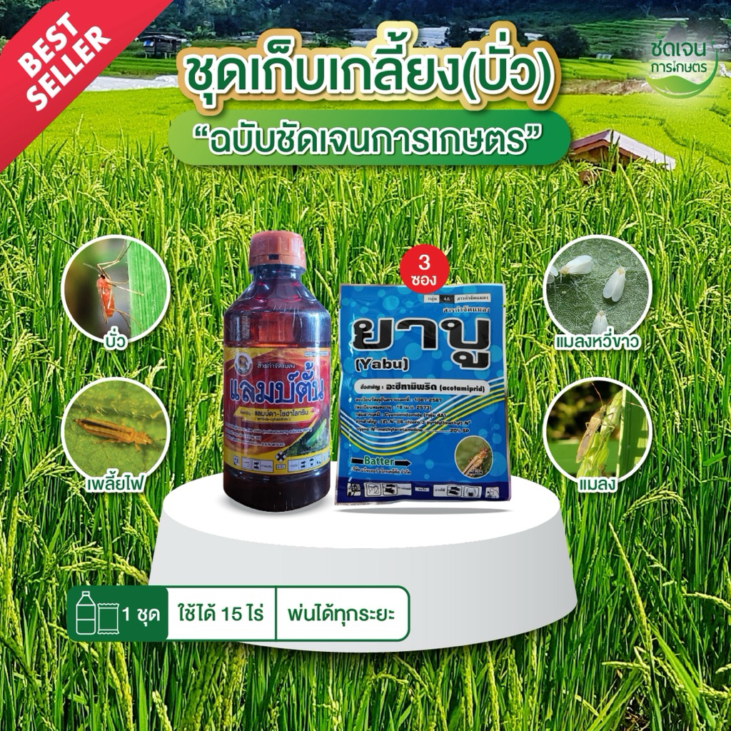 ชุดเก็บเกลี้ยง(บั่ว) ยาบู2+แลมบ์ตั้น บั่ว แมลง 1 ชุด ใช้ได้ 15 ไร่ สูตรเย็น ฉีดพ่นได้ทุกระยะ