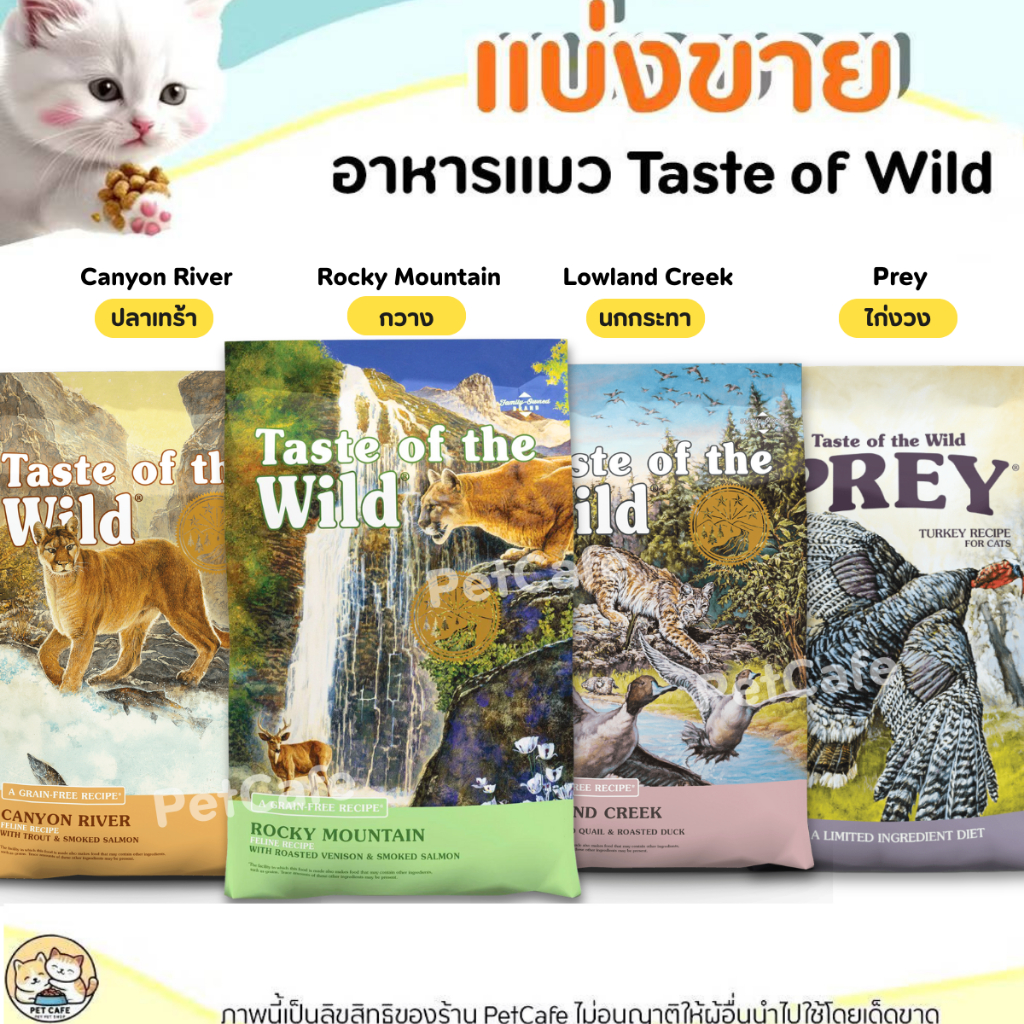 ❗แบ่งขาย❗Taste of the wild อาหารแมว เกรดHolistic ครบทุกสูตร สูตร กวาง, ปลาเทร้า, นกกระทา, ไก่งวง