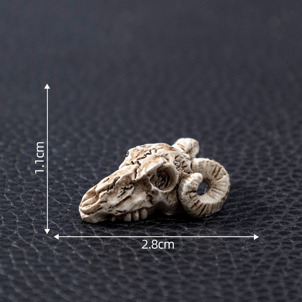 j586หัวกะโหลกสัตว์จำลองเรซิ่นจิ๋วแพ็คละ 5 ่ชิ้น - รูปที่ 3