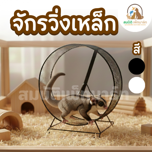 จักรวิ่งเหล็กสัตว์เล็ก เงียบ ลื่น แข็งแรง ไม่หนีบเท้า หนูแฮมสเตอร์ ชูการ์ไกลเดอร์ (26 / 32 ซม.)