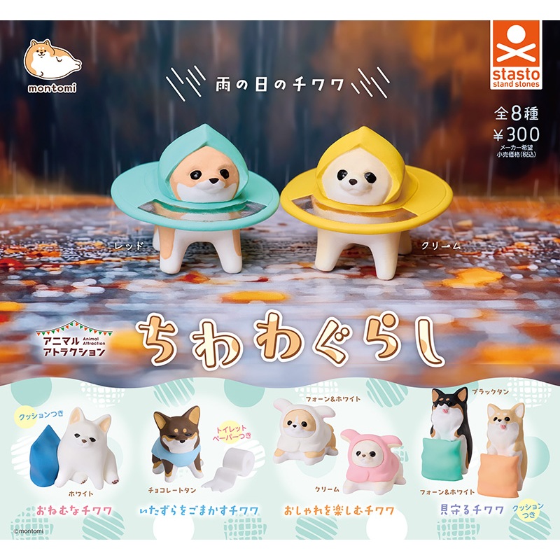 Chihuahua Life Stasto Animal Gashapon กาชาปอง หมา ชิวาวา dog NEW