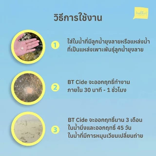 BTcide จุลินทรีย์กำจัดลูกน้ำยุงลาย ไร้สารเคมี ใส่ในน้ำที่มีลูกน้ำยุงลาย แหล่งเพาะพันธุ์ยุงลาย ช่วยลดจำนวนยุง