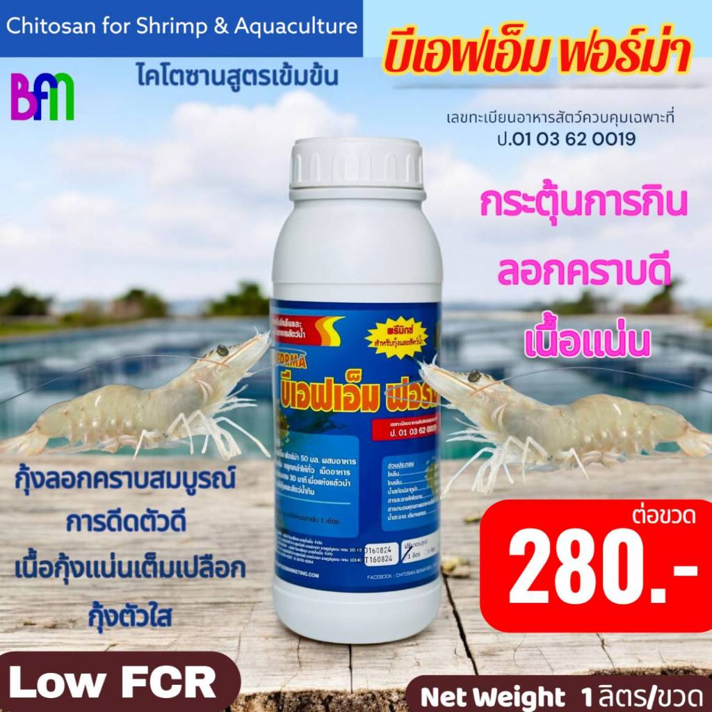 บีเอฟเอ็ม ฟอร์ม่า BFM FORMA ไคโตซานเข้มข้นสูตรเสริมคอลลาเจนอะมิโนคอมเพล็กซ์ กุ้งโตดี ลอกคราบสมบูรณ์ 