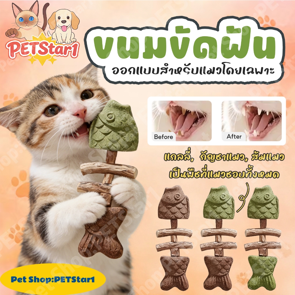 PETStar1🥇สัตว์เลี้ยงขายร้อน🥇แคทนิป ของเล่นปลา กระดูก ไม้ขัดฟัน ทำความสะอาดฟัน แคทนิป ล่อใจ แมว ครอบครัวแมว ต้องมี เพีย