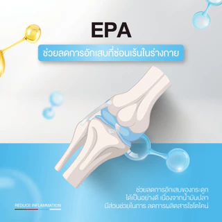 Maxxlife Fish Oil น้ำมันปลา โอเมก้า 3 ลดไขมันในเลือด บำรุงสมอง ระบบประสาท เพิ่มสมาธิ ขนาด 30 และ 90 เม็ด