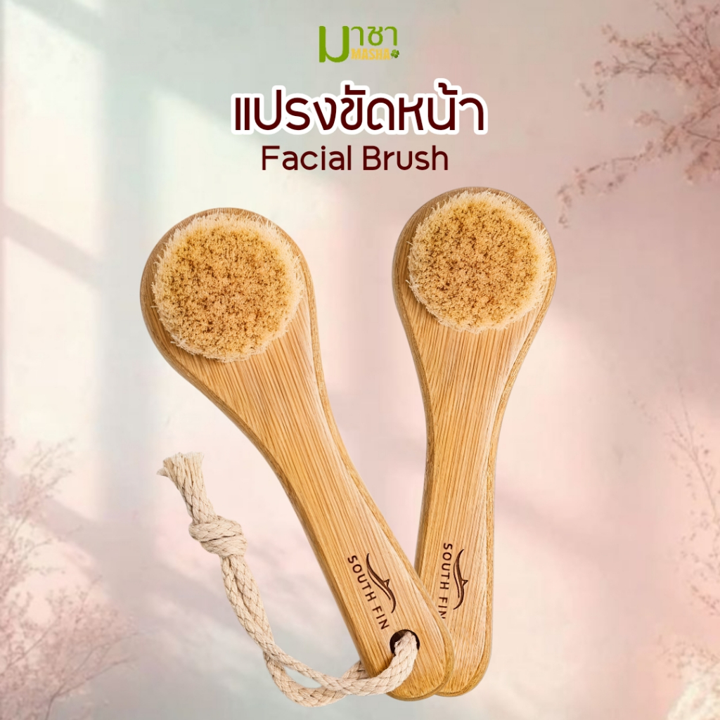 มาชา แปรงขัดแห้ง แปรงขัดหน้า Facial dry brush