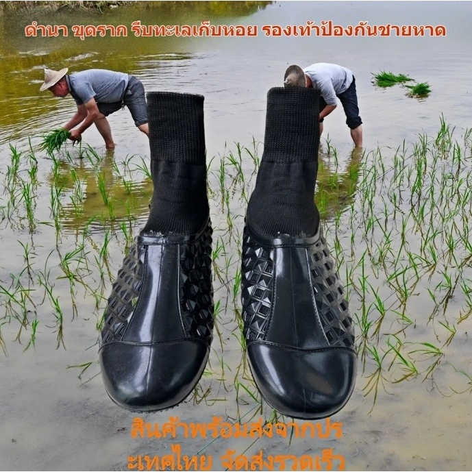 รองเท้าดำนา กันบาดกันแทง กันลื่น กันน้ำ รองเท้าทำสวน ทำนา จับหอย ชายหาด ใส่สบาย