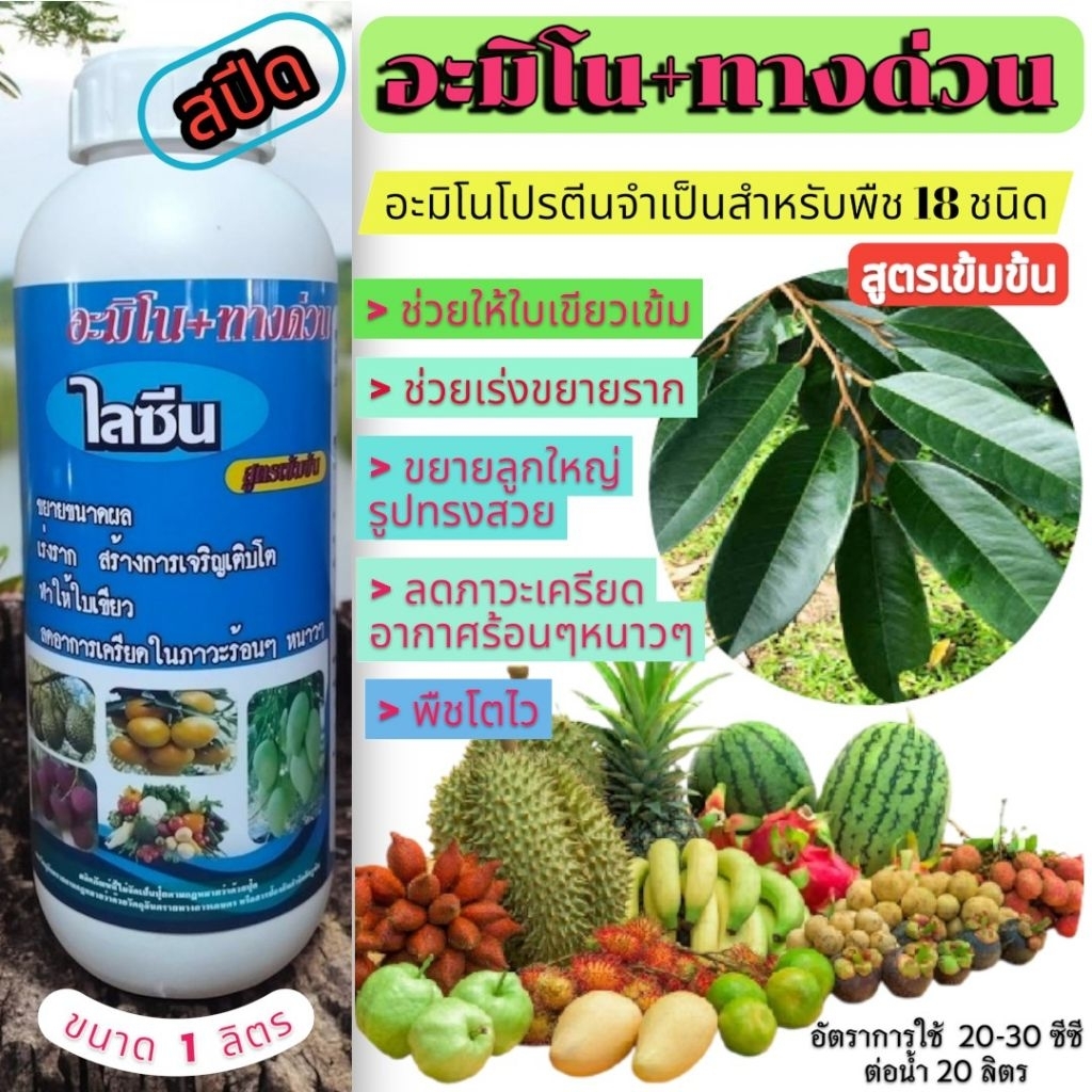 🌾ไลซีน🌳 เร่งขยายรากได้ดี ลูกทรงสวย 🍎🍓ใบเขียวเข้ม พืชโตไว