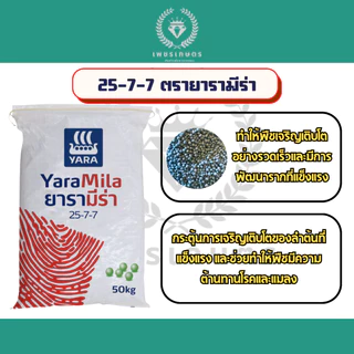 ปุ๋ย 25-7-7 ยารามีร่า เร่งใบเขียว เร่งต้นโต แบ่งขายพร้อมส่ง