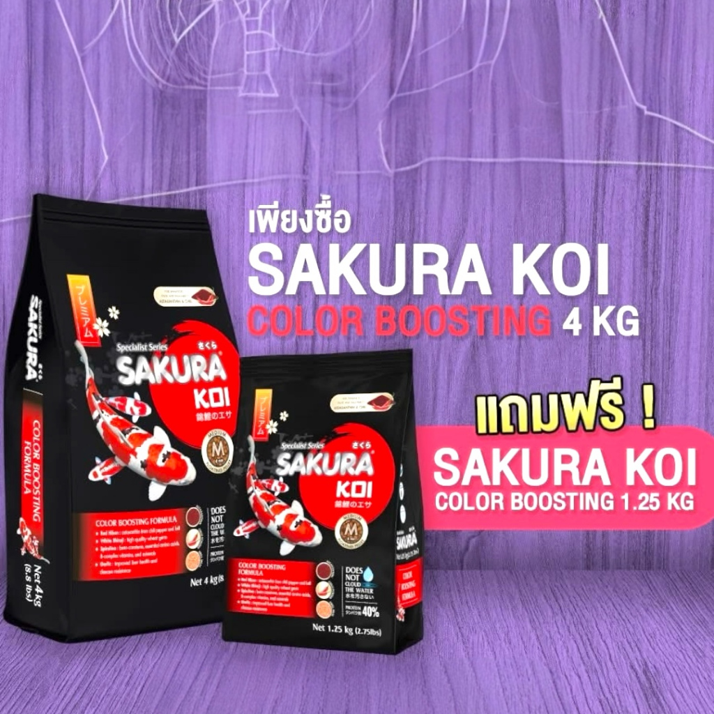 💥SAKURA KOIสูตรเร่งสี โปร 1 แถม 1 ซื้อ​ถุง 4 กก. แถมถุง 1.25 กก.เม็ดลอย.. อาหารใหม่ Exp.2027-28