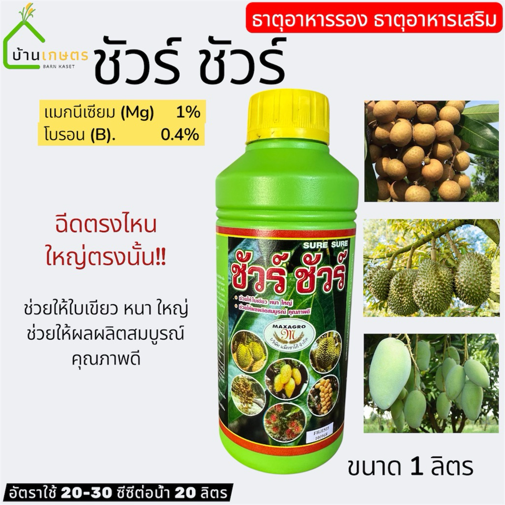 ชัวร์ ชัวร์ ขนาด 1 ลิตร ฮอร์โมนฉีดเร่งลูก ฉีดตรงไหน ใหญ่ตรงนั้น ช่วยเร่งการสังเคราะห์แสง ขยายใบ ใบหนา ขยายผล ผลใหญ่