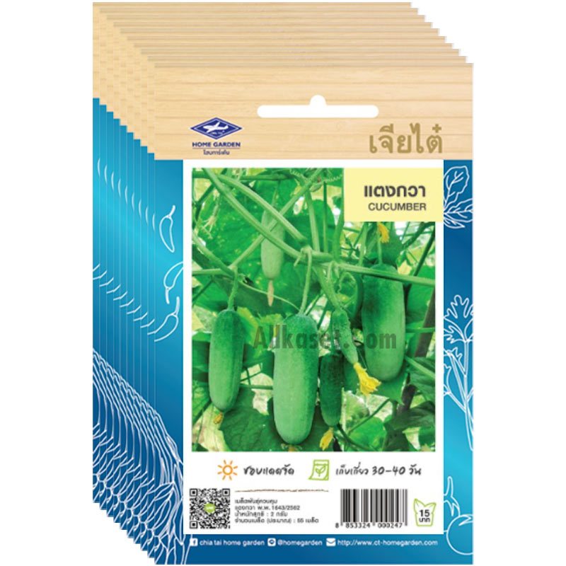 เมล็ดพันธุ์แตงกวา ยกห่อ (10 ซอง) ราคาส่ง