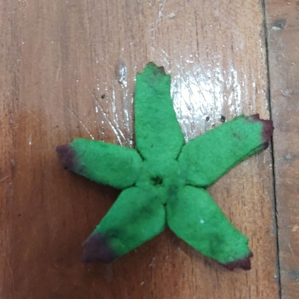 กลีบเลี้ยงกระดาษสาขนาด4.5cm/บรรจุ100ใบต่อห่อ  ขายเชทละ120(3ห่อ)เฉลีาย40/ห่อ