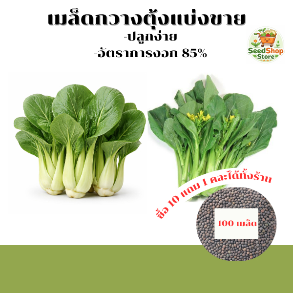 เมล็ดพันธุ์ผักกวางตุ้งฮ่องเต้ กวางตุ้งดอกอินทนนท์ ล็อตใหม่บรรจุ 100 เมล็ด