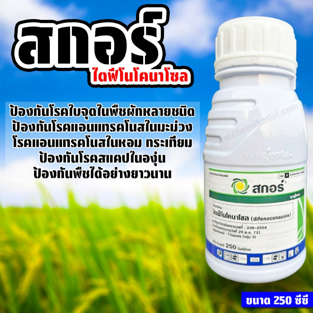 สกอร์ 250 อีซี (ไดฟีโนโคนาโซล 25% EC) ขนาด 250 ซีซี สารป้องกันกำจัดโรคพืชที่เกิดจากเชื้อรา
